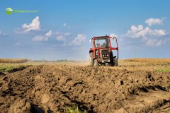 Massey Ferguson 255 &  UG2