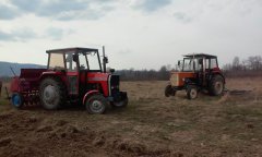 Massey Ferguson 255 & Ursus C-360