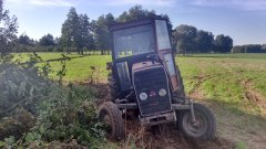 Massey Ferguson 255