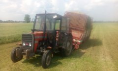 Massey Ferguson 255