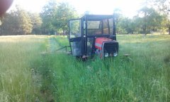 Massey Ferguson 255