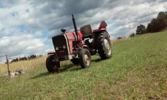 Massey Ferguson 255