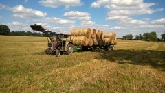 Massey Ferguson 255