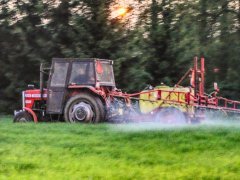 Massey Ferguson 255