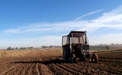 Massey Ferguson 255&brony3