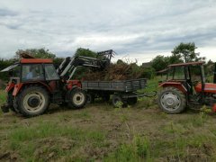 Masswy Ferguson 255&Autosan D732&Zetor 7340