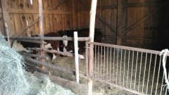 Adaptacja stodoły dla nowych nabytków