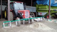 Belka do truskawek typu fragaria