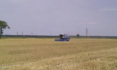 Bizon bs z110