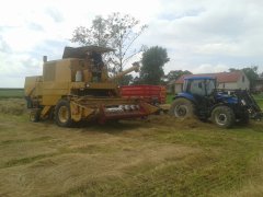 bizon i newholland