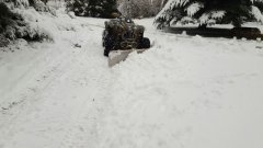 Can- am  renegade 800