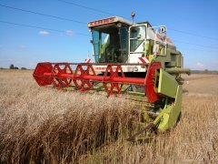 Claas 108sl vs rzepak jary