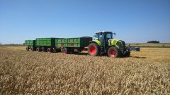 Claas Axion 810