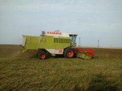 Claas Dominator 108sl vs lucerna