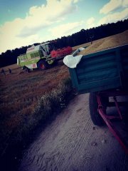 Claas dominator 88