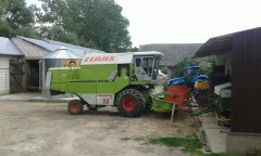 Claas Dominator 96 & New Holland T6030 RC