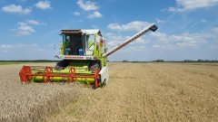 Claas Dominator MAXI 98 SL