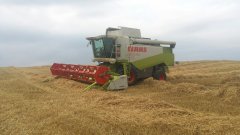 Claas Lexion 460