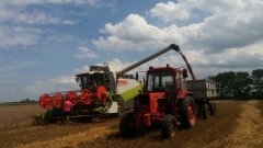 Claas Lexion 470 & Mtz 82 + Autosan