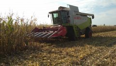 Claas Lexion 540 geringhof rota-disc