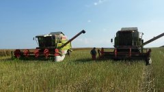 Claas  mega 208 i dominator 88sl maxi