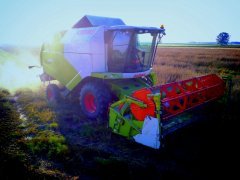 Claas Tucano 320