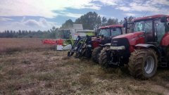 Claas tucano 440 & case mxu 115 & case puma 185