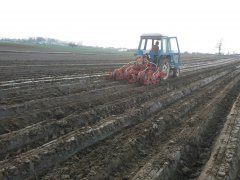 Ford 4600 i siewnik punktowy gaspardo