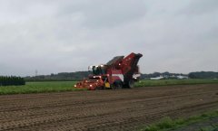 Grimme Maxtron 620