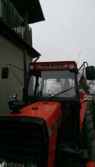 Halogeny  led Ursus 4512