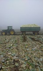 John deere 6800 i przyczepa