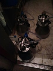 Kana, Konwia, Bańka