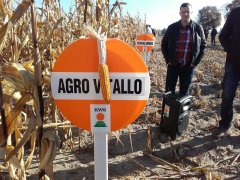 Kws agro witallo