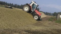 Masowy Ferguson 3080