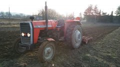 Massey Ferguson 255