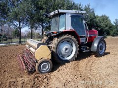 Massey Ferguson 3050+poznaniak