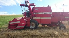 Massey Ferguson 307