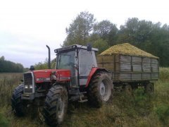 Massey Ferguson  3085