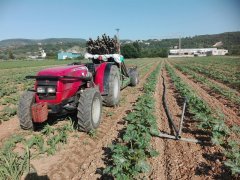 Massey Ferguson 3435f