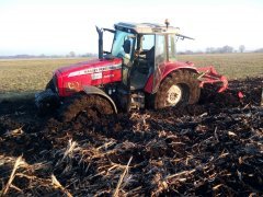 Massey Ferguson 5465