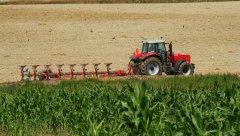 Massey Ferguson 8480 & Kverneland PN 100