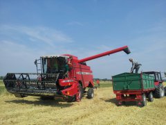 Massey Ferguson activa 7244 & Belarus 892.2 & Sanok D - 44A