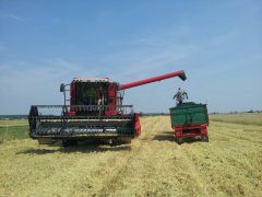 Massey Ferguson activa 7244 & belarus 892.2