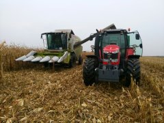 Massey Ferguson & claas tucano 320