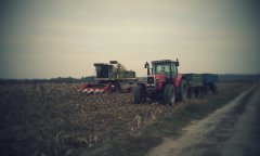 Massey Ferguson i Claas