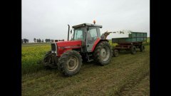 Massey Ferguson i orkan