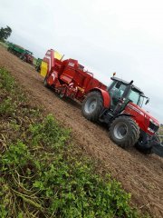 MF 7718 & Grimme SE 85-55