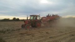 MTZ 82 + Grimme hl750