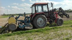 MTZ 82 - RABEWERK- Poznaniak