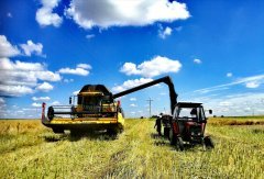 New Holland CX6080 & URSUS 3512